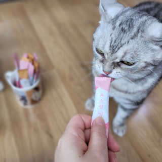 제니언니님이 올린 리뷰 사진 2