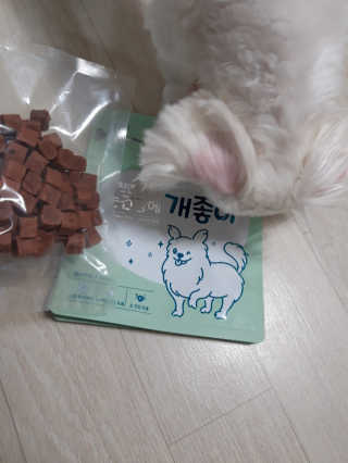 My Pet Care 천연단백질 눈건강에 개좋아 — 5점을 준 리뷰어가 2020년 11월 올린 사용 사진