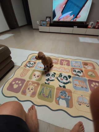 베누지오 베이비버스 워셔블  자카드 카페트 소형 — 5점을 준 리뷰어가 2020년 5월 올린 사용 사진