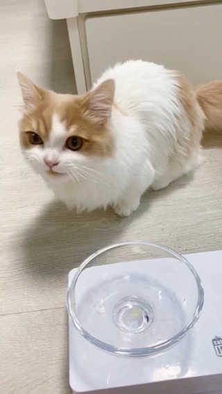 예쌤님이 올린 리뷰 사진 1