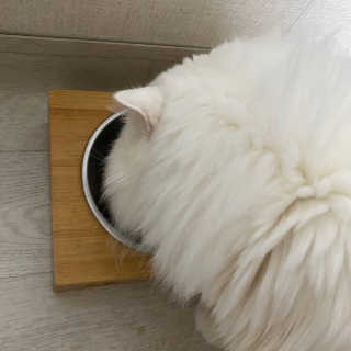 하루님이 올린 리뷰 사진 2