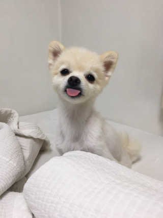 캐롯님이 올린 리뷰 사진 3
