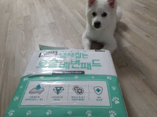 김선아님이 올린 리뷰 사진 2
