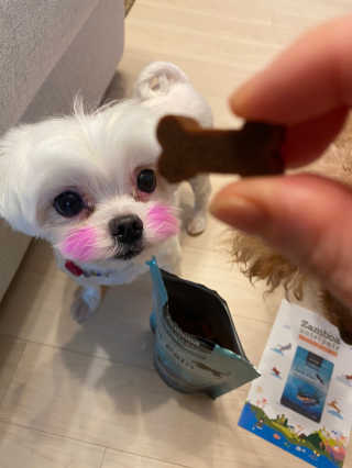 janoo11님이 올린 리뷰 사진 3