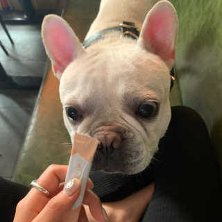 이샤르르님이 올린 리뷰 사진 3
