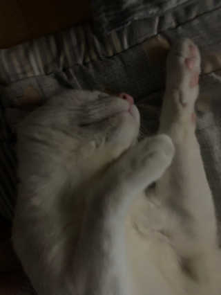 momoa님이 올린 리뷰 사진 3