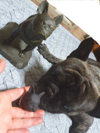 탱크돌콩님이 올린 리뷰 사진 1