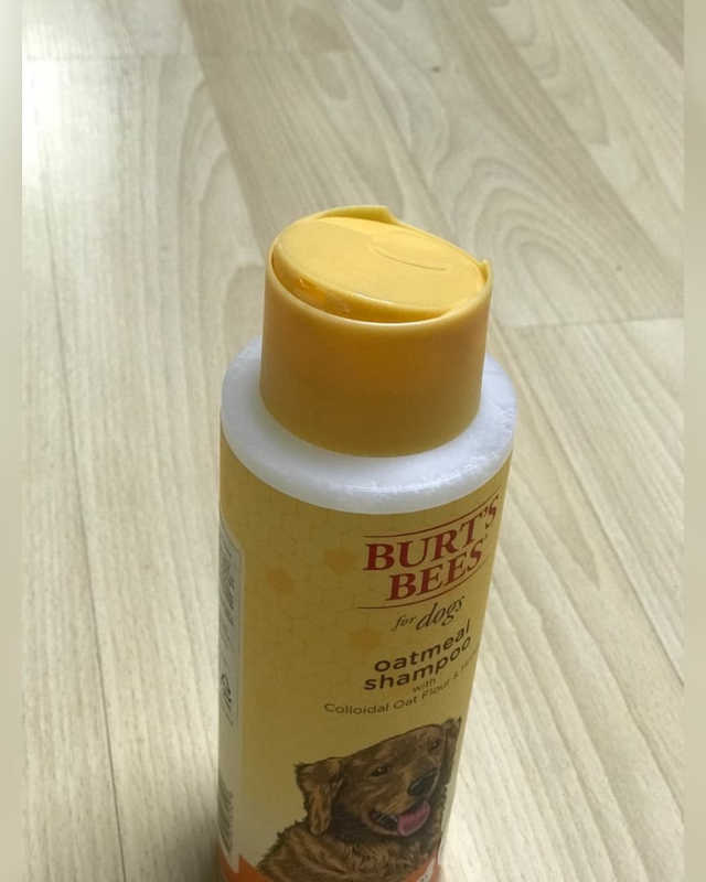 버츠비 오트밀 샴푸 리뷰 사진