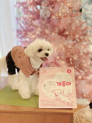 My Pet Care 천연단백질 관절건강에 개좋아 — 5점을 준 리뷰어가 2020년 12월 올린 사용 사진