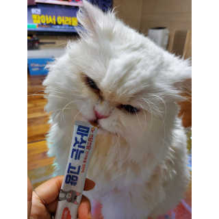 으하하하하님이 올린 리뷰 사진 2