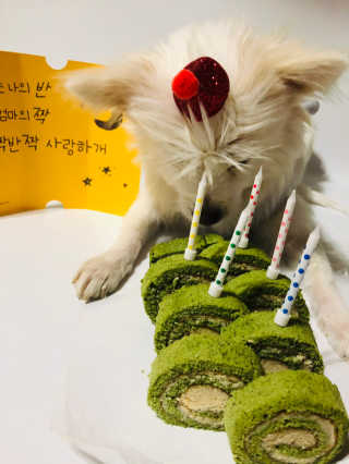 Lily님이 올린 리뷰 사진 2