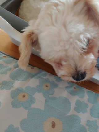 이주현님이 올린 리뷰 사진 3