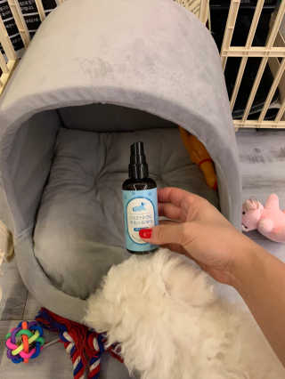 큐티윤님이 올린 리뷰 사진 3