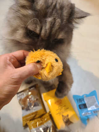 박오뎅님이 올린 리뷰 사진 3