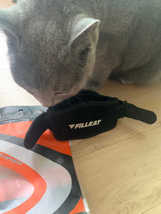롬님이 올린 리뷰 사진 2