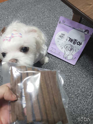 My Pet Care 천연단백질 치아건강에 개좋아 — 5점을 준 리뷰어가 2020년 11월 올린 사용 사진