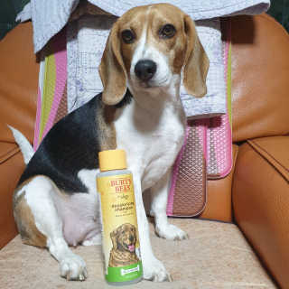 beaglelove님이 올린 리뷰 사진 1