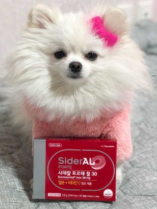 백설맘님이 올린 리뷰 사진 1