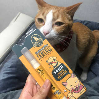 Honeyshop님이 올린 리뷰 사진 1