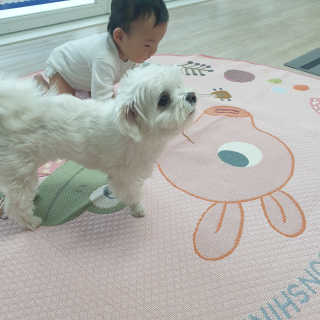 루아맘님이 올린 리뷰 사진 2