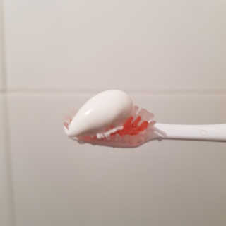 두두님이 올린 리뷰 사진 2