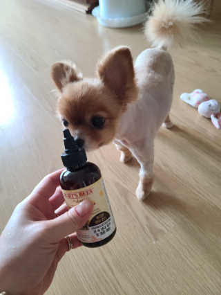 다솜이마마님이 올린 리뷰 사진 2