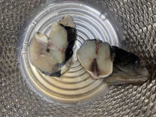 J님이 올린 리뷰 사진 3