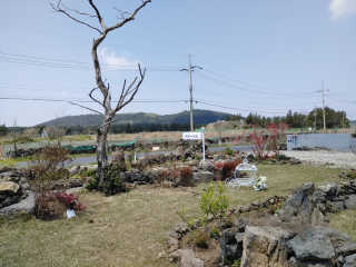 가미닝님이 올린 리뷰 사진 3