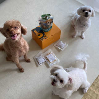 쫑구리님이 올린 리뷰 사진 1