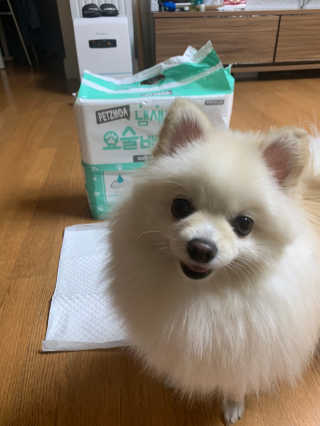 별이빛나길님이 올린 리뷰 사진 3