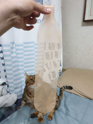 위드님이 올린 리뷰 사진 3