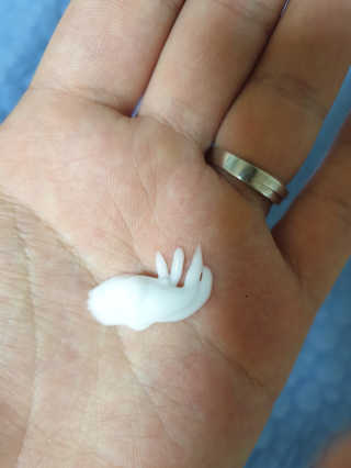 하하호롯님이 올린 리뷰 사진 3