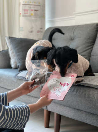 My Pet Care 천연단백질 관절건강에 개좋아 — 5점을 준 리뷰어가 2020년 11월 올린 사용 사진