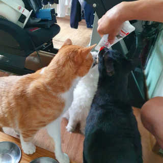 여원하게님이 올린 리뷰 사진 3
