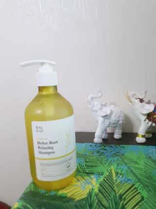 달리프 클로렐라 베러 루트 릴렉싱 샴푸 500ml — 5점을 준 리뷰어가 2020년 9월 올린 사용 사진