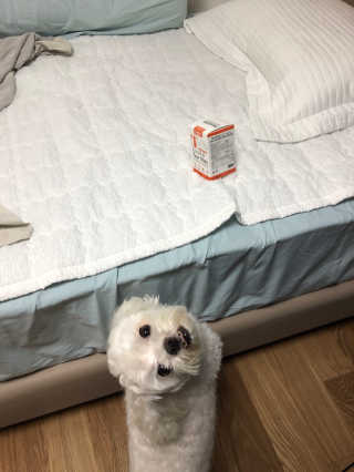 도미노님이 올린 리뷰 사진 1