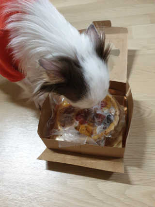 케이영님이 올린 리뷰 사진 1