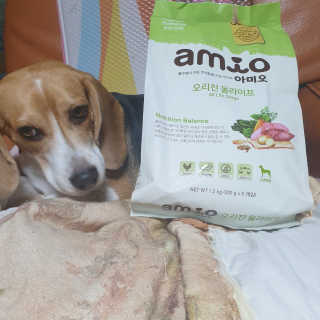 beaglelove님이 올린 리뷰 사진 1