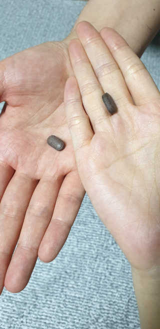 조은약초 꿀잠큐어 제주 감태추출물 감태정 600mg — 4점을 준 리뷰어가 2020년 4월 올린 사용 사진