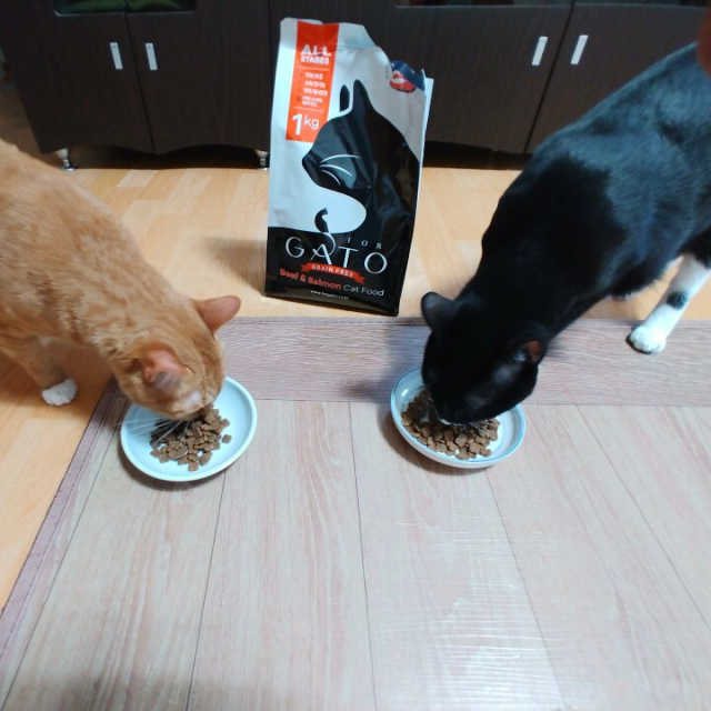 포가토 그레인프리 1kg 2종 리뷰 사진