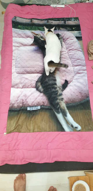 SeulonPark님이 올린 리뷰 사진 3