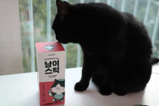 필쏘굿님이 올린 리뷰 사진 1