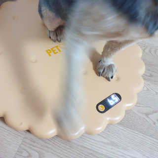 Rooloo님이 올린 리뷰 사진 3