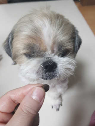 민우다빈이맘님이 올린 리뷰 사진 1