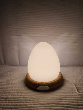 에잇스라잇 알에서 새가 깨어나는 감성 디자인 무드등, 에그라이트 — 2점을 준 리뷰어가 2020년 5월 올린 사용 사진