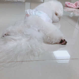 우주님이 올린 리뷰 사진 1