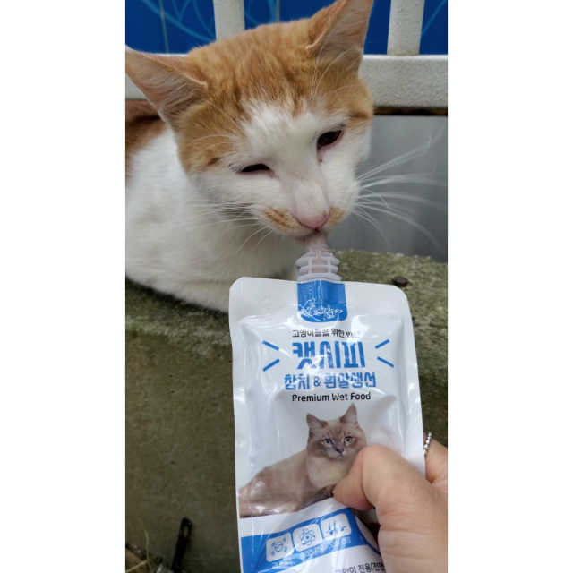 [캣시피] 고양이들의 반찬, 대용량 츄르 블루 리뷰 사진
