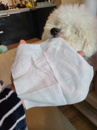 아이수 브론 몬스터 휴대용 아기 물티슈 — 5점을 준 리뷰어가 2020년 12월 올린 사용 사진