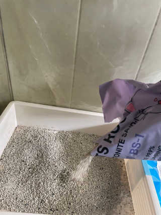 겟플렉스 켓플렉스 캣츠룸BS-1 고양이모래 4kg — 4점을 준 리뷰어가 2020년 12월 올린 사용 사진