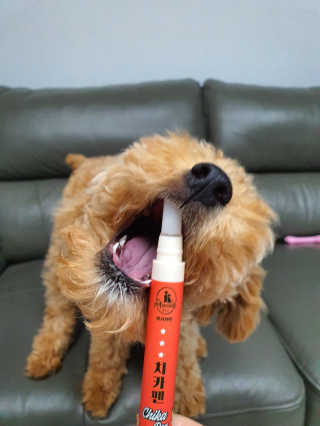 나를믿어요님이 올린 리뷰 사진 2